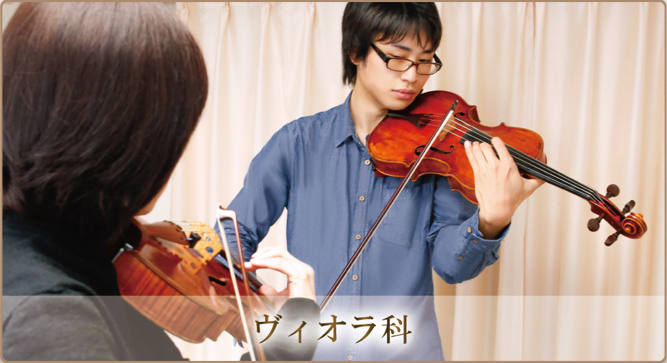 ヴィオラ科